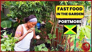 Eating FAST FOOD from a SMALL garden In my Backyard: Eat What You Grow!