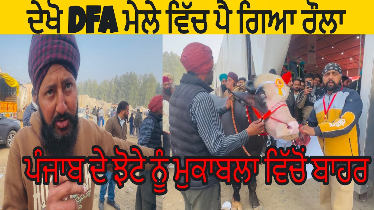 ਦੇਖੋ DFA ਮੇਲੇ ਵਿੱਚ ਪੈ ਗਿਆ ਰੌਲਾ॥ਪੰਜਾਬ ਦੇ ਝੋਟੇ ਨੂੰ ਮੁਕਾਬਲਾ ਵਿੱਚੋਂ ਬਾਹਰ
