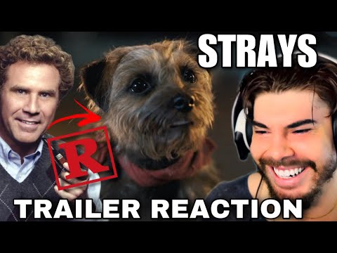 RATED R DOG MOVIE?! STRAYS OFFICIAL TRAILER REACTION! 😂