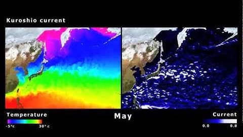 MyOcean - Ocean Monitoring and Forecasting