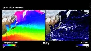MyOcean - Ocean Monitoring and Forecasting