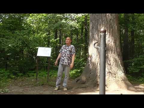 Видео сюжет о