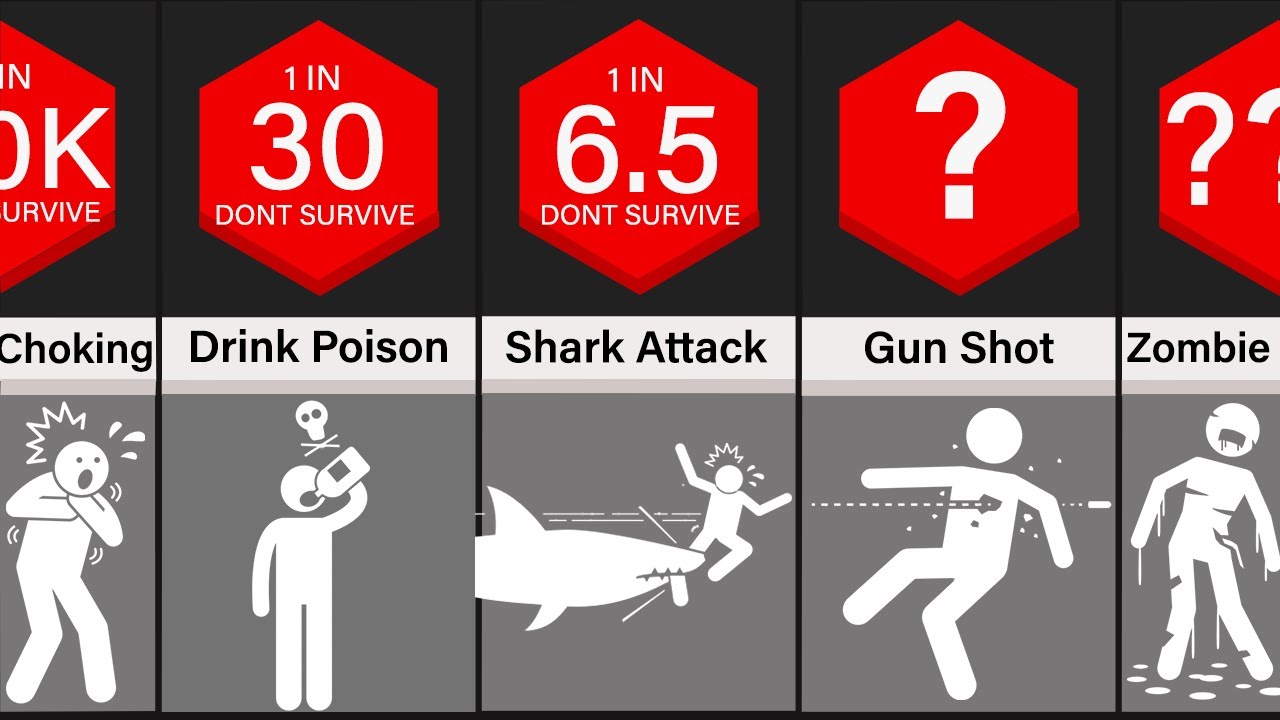 Probability Comparison: Chances Of Survival