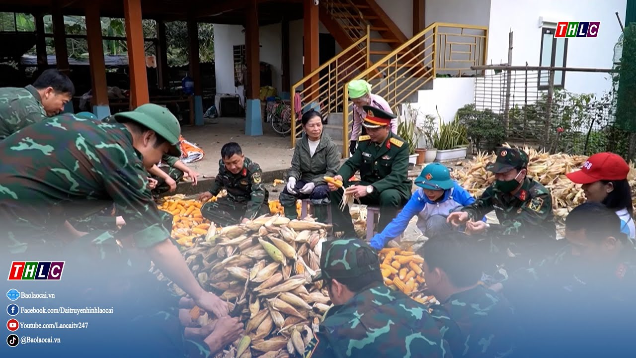 Thời sự Lào Cai 9h30 (17/1/2026) | THLC