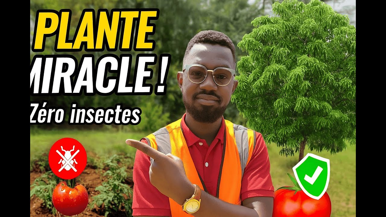 Comment éloigner tous les INSECTES de ton POTAGER… grâce à une seule PLANTE !