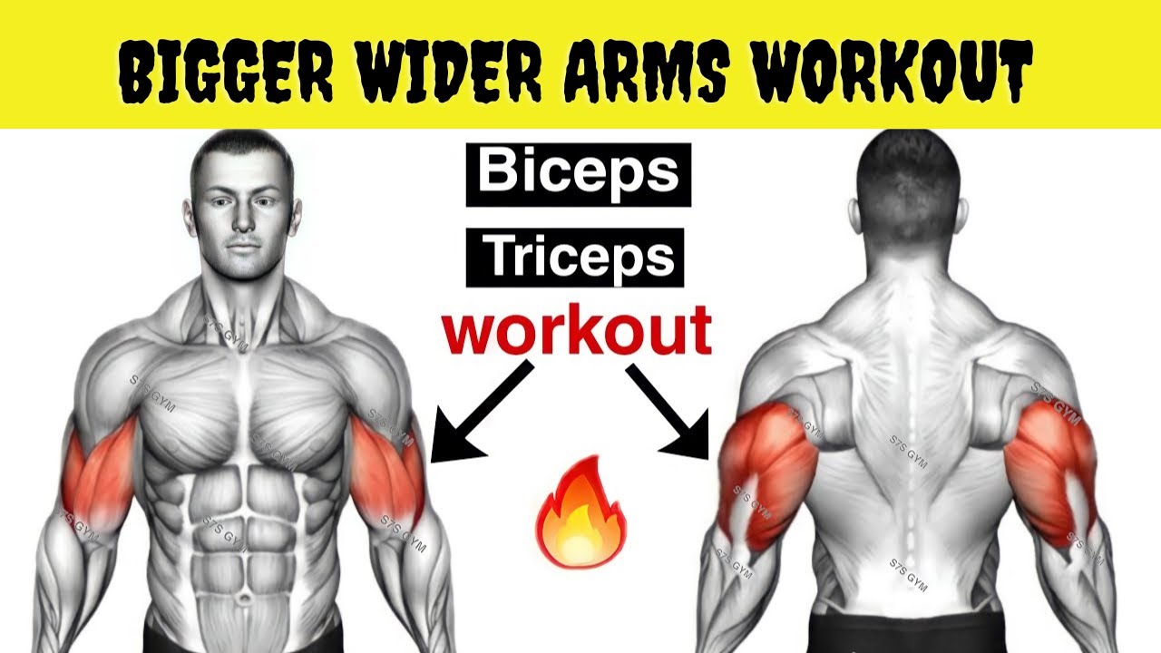 10 Best Exercises For Bigger Arms - Biceps And Triceps Workout || How ...