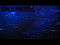 Fire everything! - Cold Waters (Submarine Simulation)