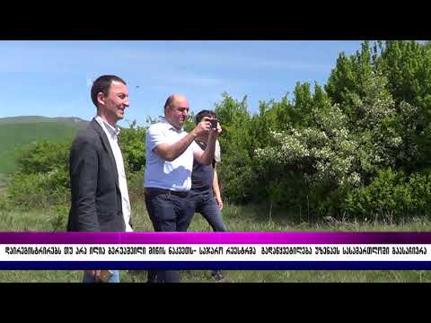 დაირეგისტრირებს თუ არა ილია ბერუაშვილი მიწის ნაკვეთს