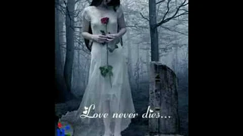 True love,never dies...