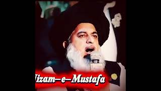 Baba janam ❤️#tlp#tlpstatus #foryou #viral