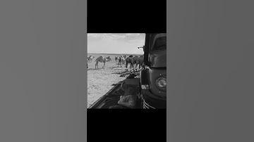 سورة الغاشية - الشيخ زكي دغستاني - افلا ينظرون الى الابل كيف خلقت .