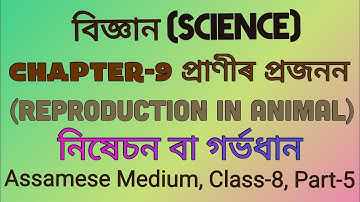 বিজ্ঞান অধ্যায় ৯ প্ৰাণীৰ প্ৰজনন অষ্টম শ্ৰেণী|নিষেচন বা গৰ্ভধান|Class 8 Science Chapter 9in Assamese
