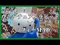 【MAD】ヴァーチュアルラビット(平沢進)×ミッフィー