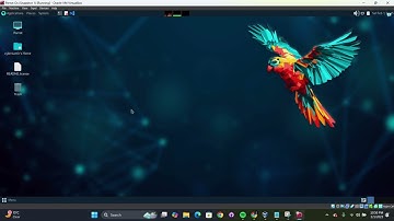 Setup After Installing Parrot OS on VirtualBox
