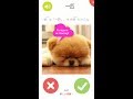 Kanji Image Flashcard App Preview