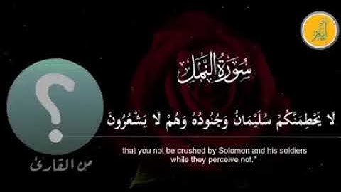 الشيخ محمد الهلباوي . سورة النمل