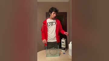 Bilkent Phys 101 Lab Project Video (Refraction of Light)