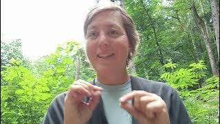 Forgiven, Set free from Trauma, New Creation. Don't link Trauma.