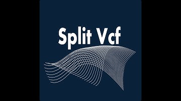 Split Vcf