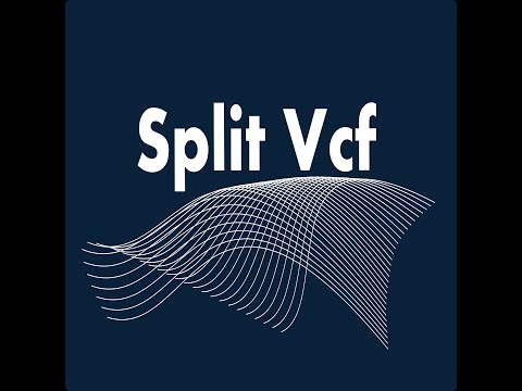 Split Vcf