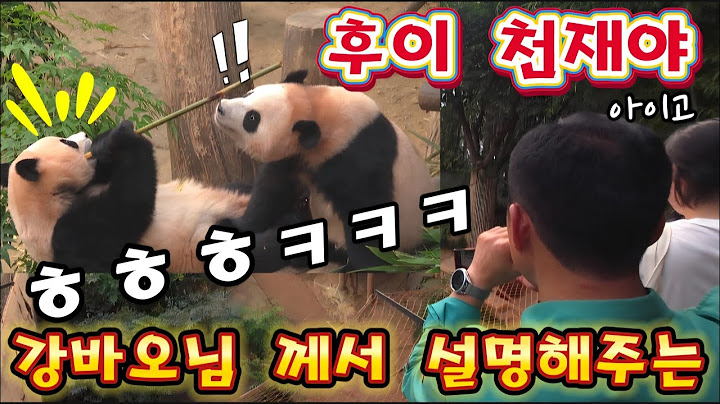 Everland Panda World 🤣 A fun and touching scene explained by Kang Bao