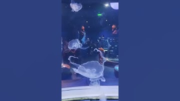 CĂNG THẲNG DO KINH TẾ THỊ TRƯỜNG #health