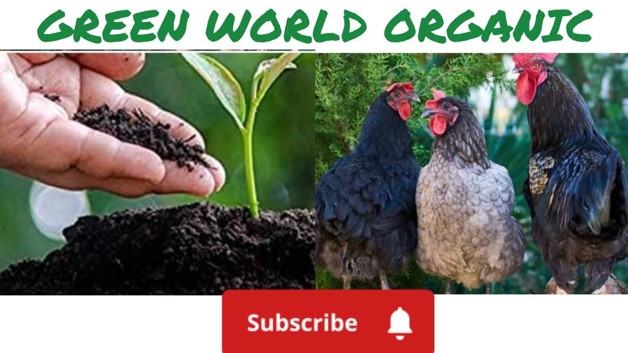 hen-waste-manure-green-world-hen-waste-manure-urdu-hindi
