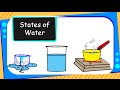 Forms of Water and Their Transformations