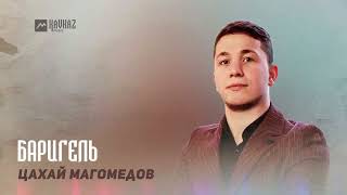 Цахай Магомедов - Баригель | Dagestan Music