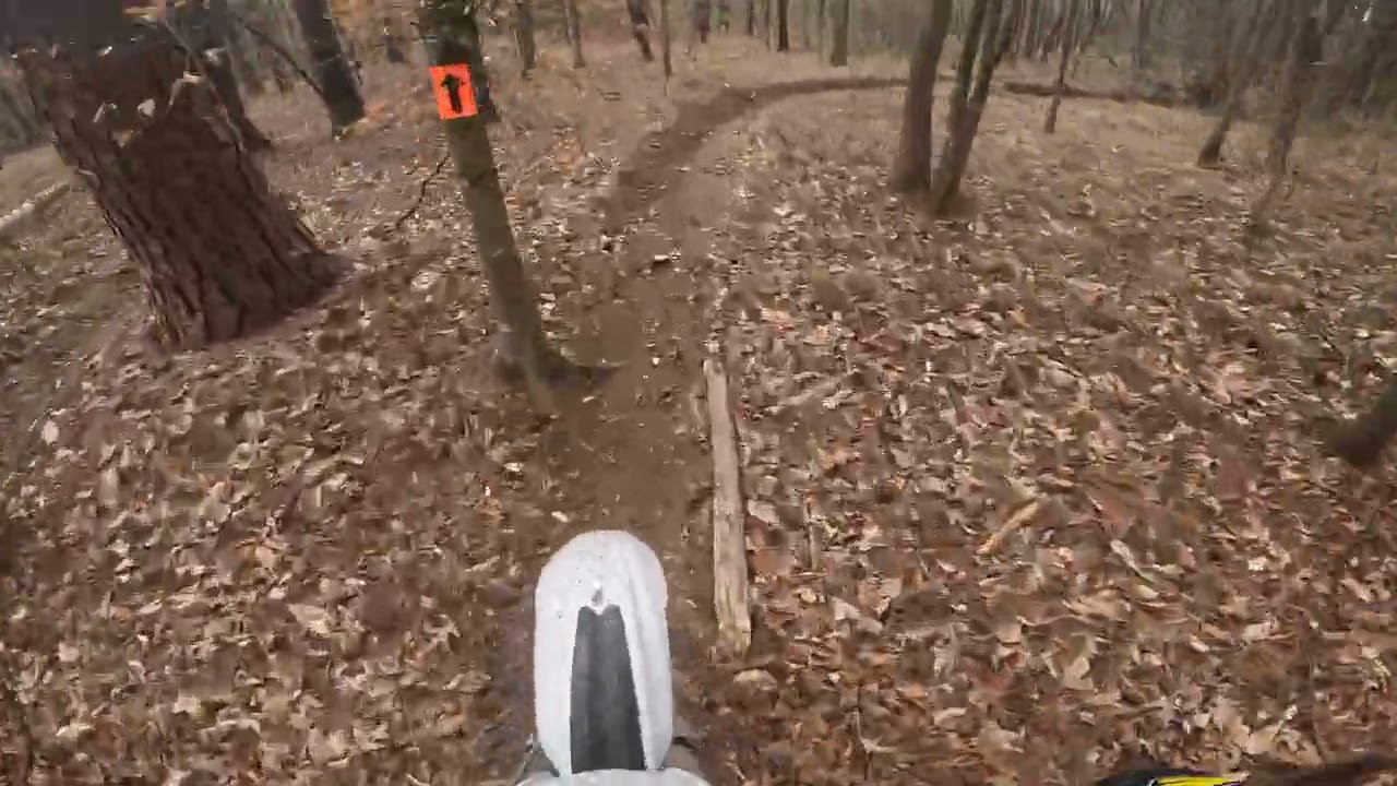 A little more single track Husqvarna wr 250 full pro circuit exhaust test 3 Nesmith , SC 3/5/26