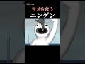 サメを食うニンゲン《#未確認生物》