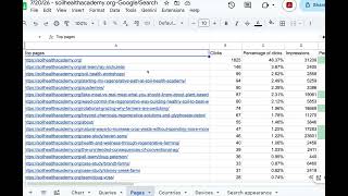 Non-profit ads plus Google search console report