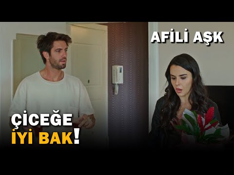 Gonca, Volkan'ı Başkasıyla Gördü! - Afili Aşk 19.Bölüm