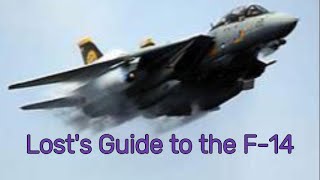 Lost's Guide to the F-14 (F-14 Start-up Tutorial)