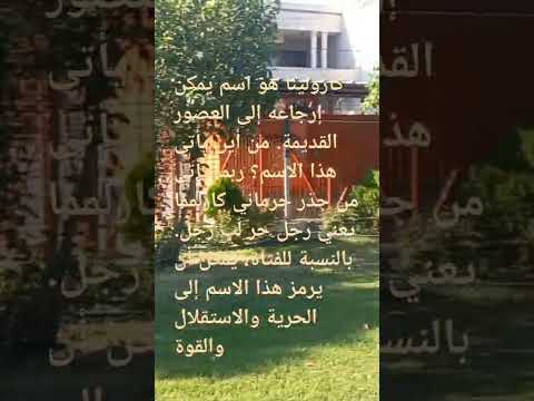 معنى اسم كارولينا