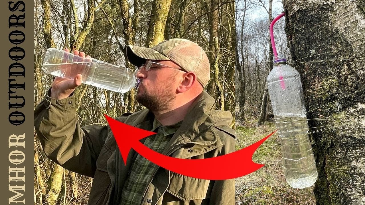 How to Tap Birch Tree Sap Easy Step by Step Guide YouTube