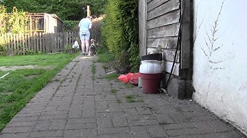 Hugo - Reinforcement Zone