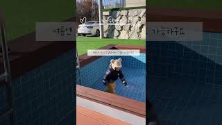 김천 펜션 수영장이 있는 풀빌라 수국펜션