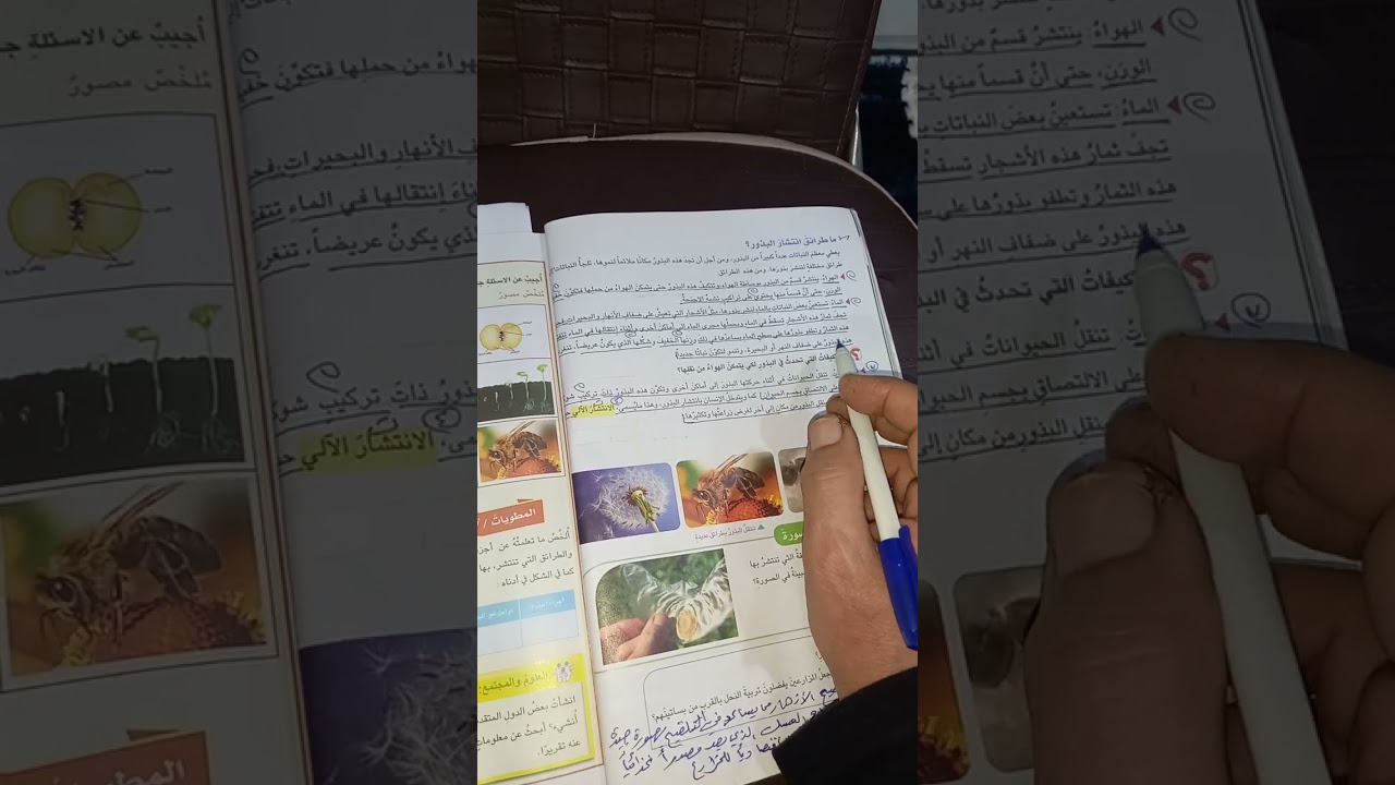 شرح موضوع البذرة الصف السادس الابتدائي 