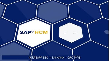 Identity Governance for SAP (Chinese Subtitles)