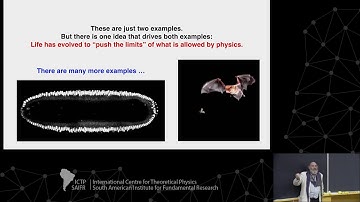 ICTP-SAIFR Distinguished Public Lecture by William Bialek