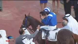28.03.2015 Meydan (Dubai/UAE) 2.Race Godolphin Mile - Group II  1.600 m
