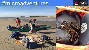 SATURN 2017 Talk: Microservices in the Cloud Using Kubernetes, Docker, and Jenkins