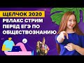 Релакс-стрим по обществознанию