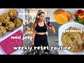 Sunday Reset Routine вњЁпёЏ Vegan Meal Prep Gardening And Gym Workout 🥠Sunday Reset Routine вњЁпёЏ Vegan Meal Prep Gardening And Gym Workout рџҐ