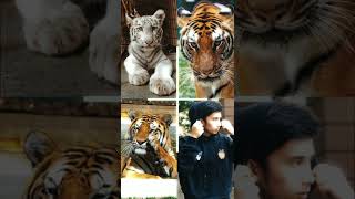 Jedag jedug Selen Jinora Eshan Alshad #alshadahmad #jinora #eshan #BabySelen