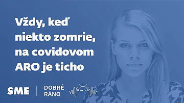 Kdo se zamýšlí nad závadami alternátorů?