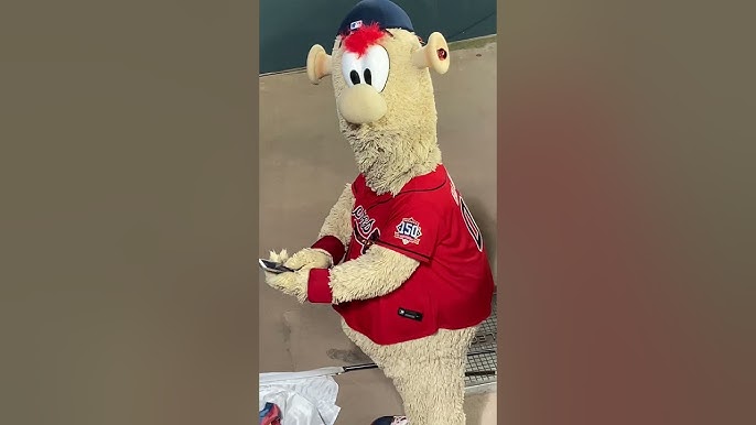 Braves mascot Blooper is ready to join the Heisman House (Video)