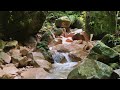 Nature Sounds for Sleeping for Deep Sleep in a Mountain Valley – Sleep in Minutes – Release Stress