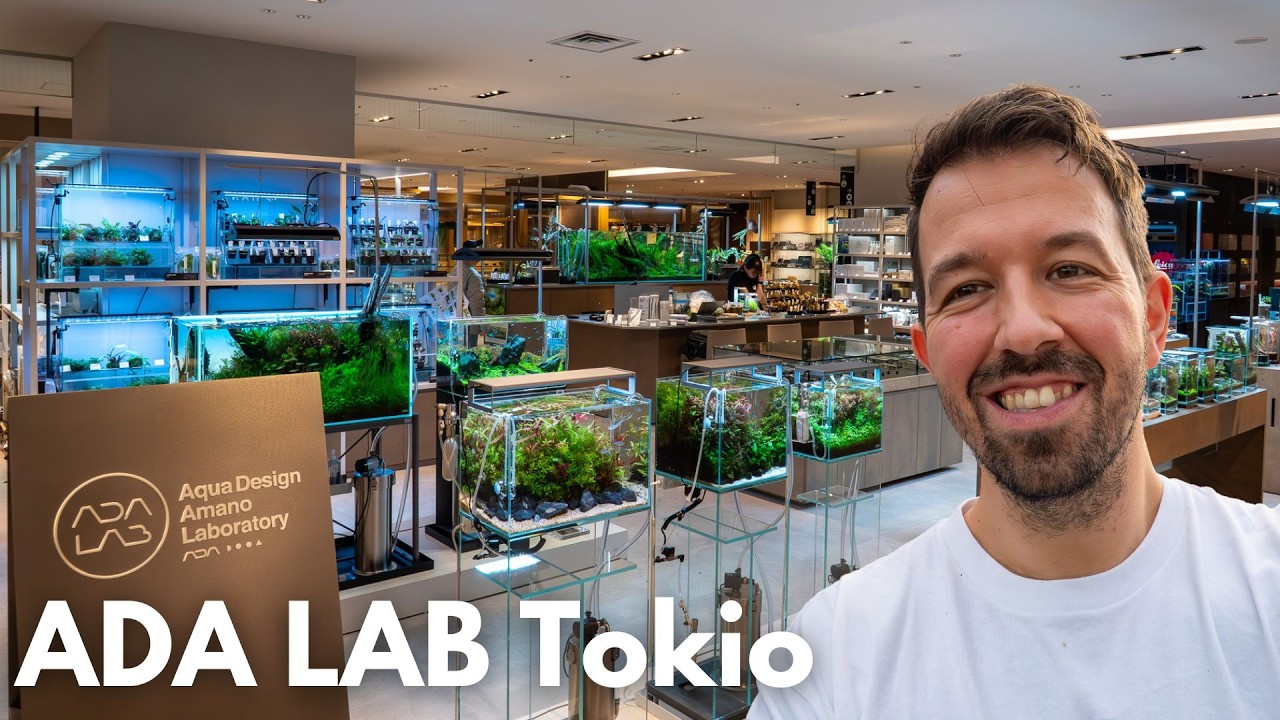 ADA LAB TOKYO JAPAN! Stefans Highlight auf der Reise!?